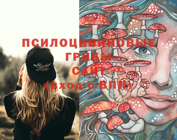 герыч Покачи