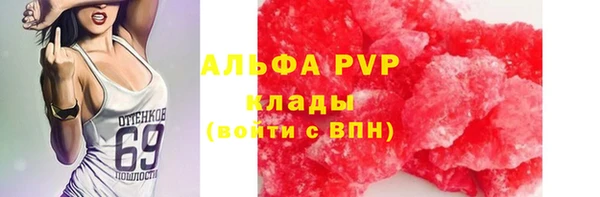 шишки Богородицк