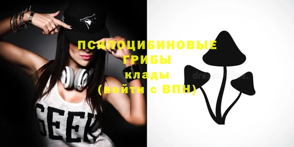 меф Пересвет