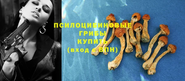 PSILOCYBIN Покров
