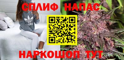 ешки Гатчина