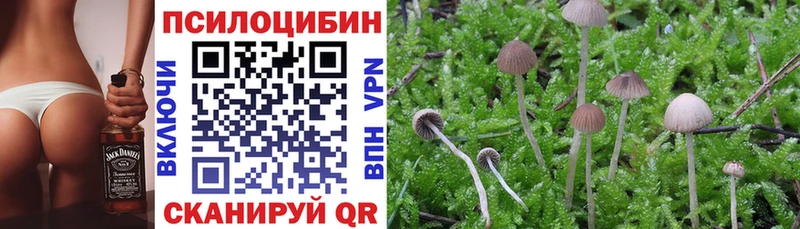 купить наркотики цена  мега зеркало  Псилоцибиновые грибы Psilocybine cubensis  Прохладный 