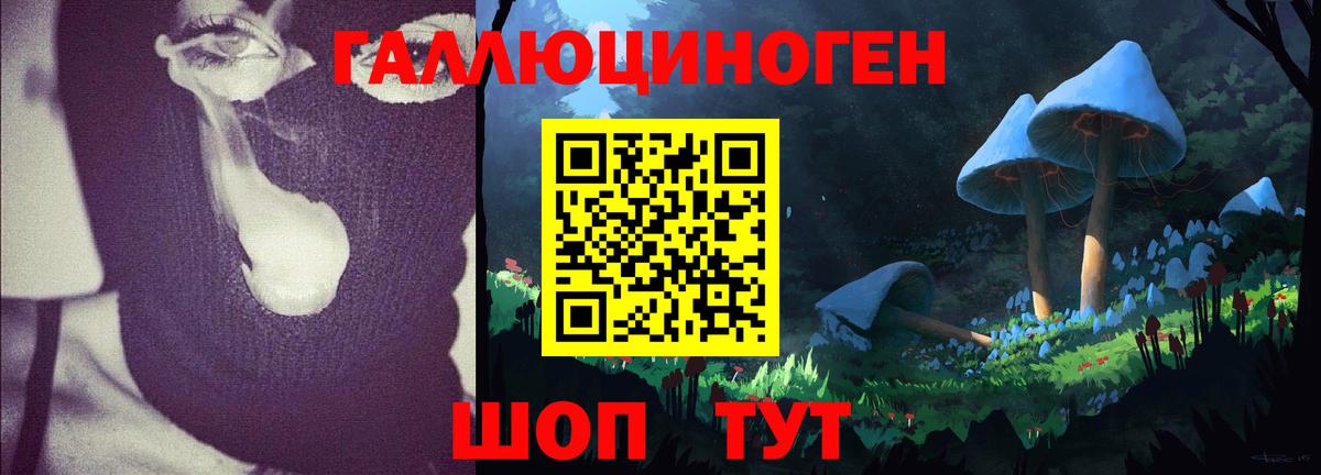 Галлюциногенные грибы Magic Shrooms  Вход с VPN  Прохладный 
